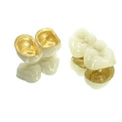 PROSTHODONTICS