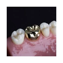 PROSTHODONTICS