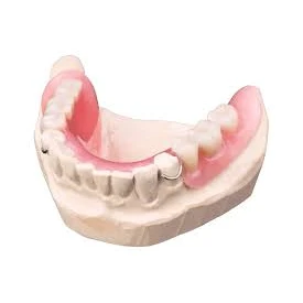 PROSTHODONTICS