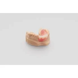 PROSTHODONTICS