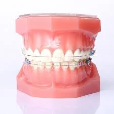 ORTHODONTICS